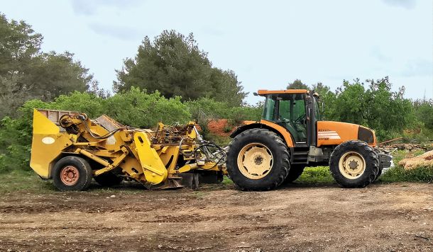 Despedregadora en Ibiza